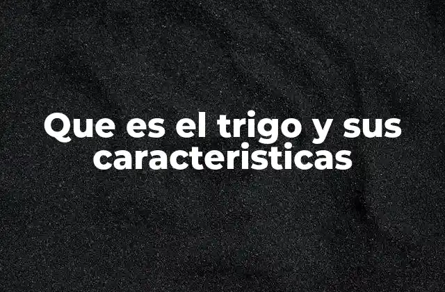 Que es el Trigo y Sus Caracteristicas