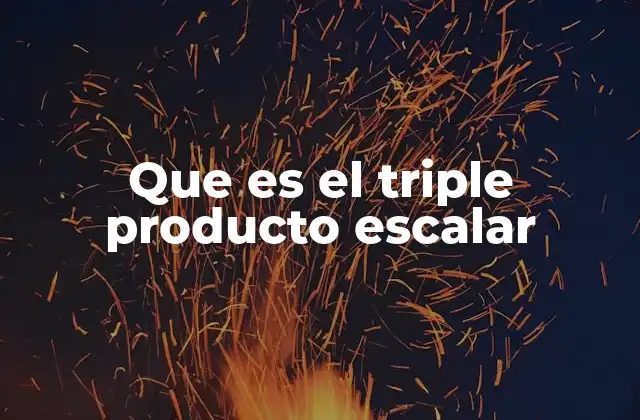 Que es el Triple Producto Escalar 2 Cómo se interpreta geométricamente el triple producto escalar