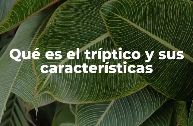 Qué es el Tríptico y Sus Características