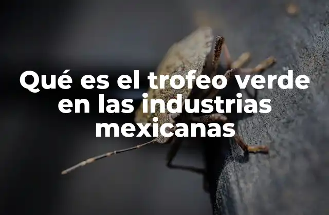 El impacto del Trofeo Verde en la cultura empresarial mexicana