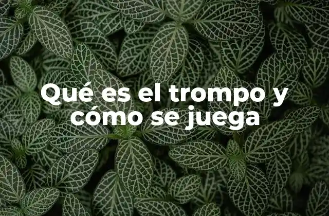 Qué es el Trompo y Cómo Se Juega