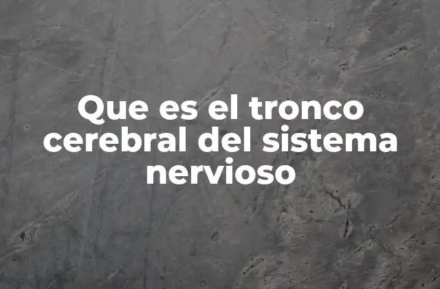 Que es el Tronco Cerebral Del Sistema Nervioso