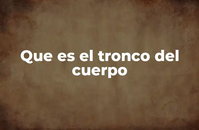 Que es el Tronco Del Cuerpo