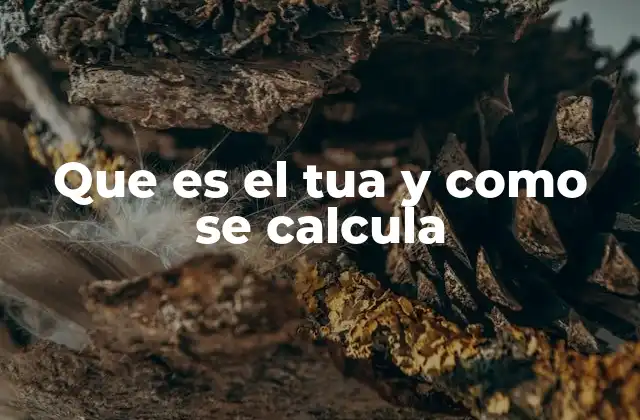 Que es el Tua y como Se Calcula