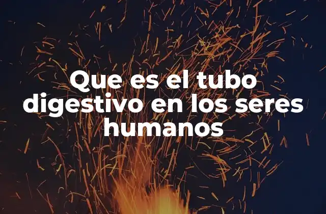 Que es el Tubo Digestivo en los Seres Humanos