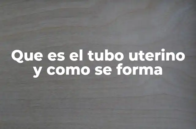 Que es el Tubo Uterino y como Se Forma