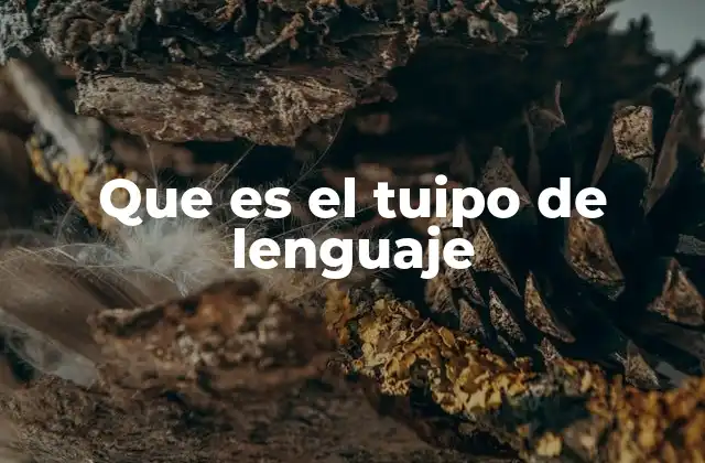 Que es el Tuipo de Lenguaje