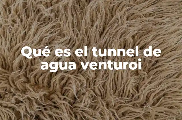 Qué es el Tunnel de Agua Venturoi