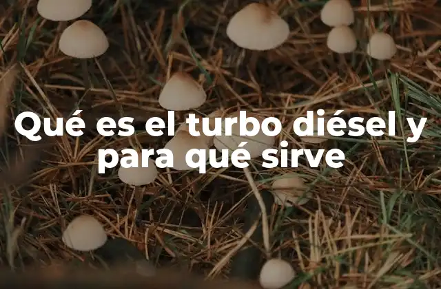 Cómo el turbo diésel mejora el rendimiento de los motores