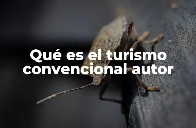 Qué es el Turismo Convencional Autor