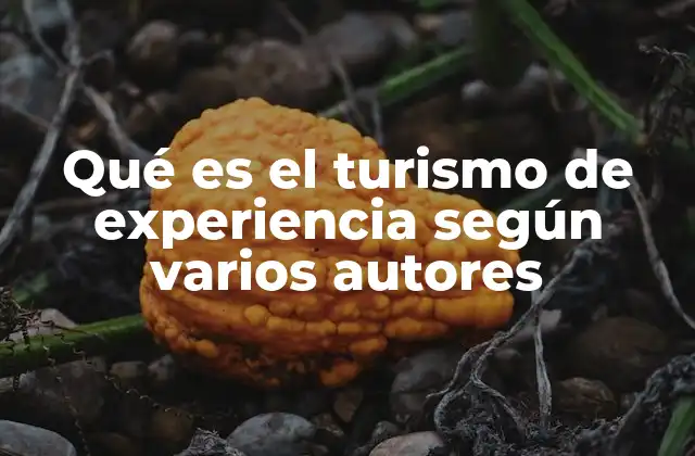 Qué es el Turismo de Experiencia según Varios Autores