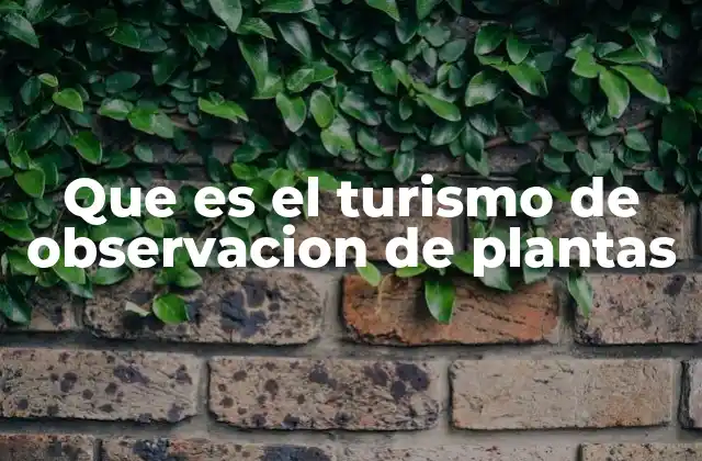 Que es el Turismo de Observacion de Plantas