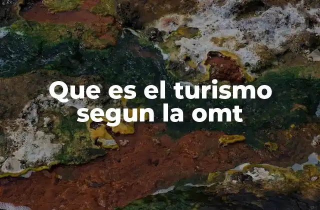 Que es el Turismo Segun la Omt