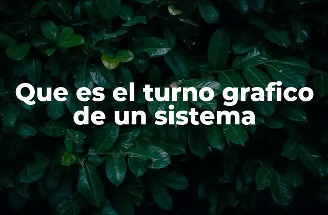 Que es el Turno Grafico de un Sistema
