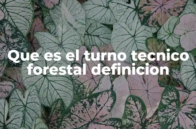 Que es el Turno Tecnico Forestal Definicion