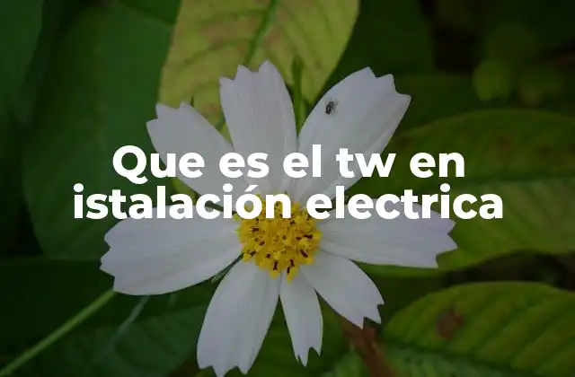 Que es el Tw en Istalación Electrica