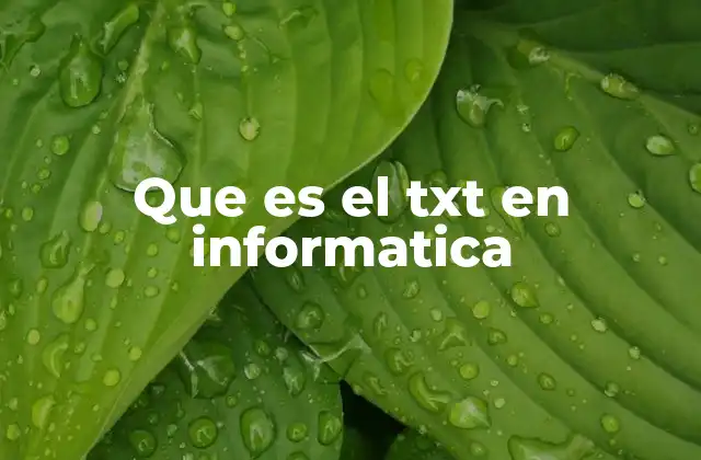 Que es el Txt en Informatica