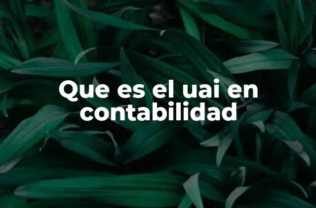 Que es el Uai en Contabilidad 2 La importancia del UAI en la gestión contable