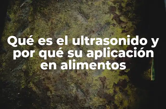 Qué es el Ultrasonido y por Qué Su Aplicación en Alimentos