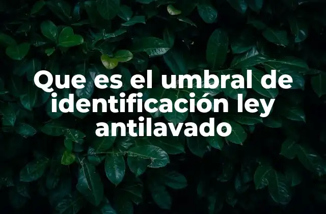 Que es el Umbral de Identificación Ley Antilavado