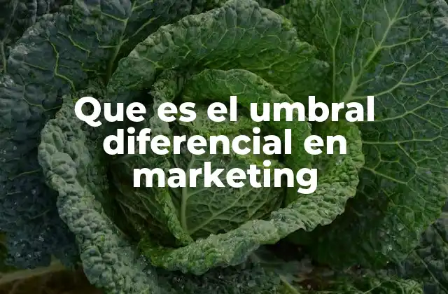 Que es el Umbral Diferencial en Marketing