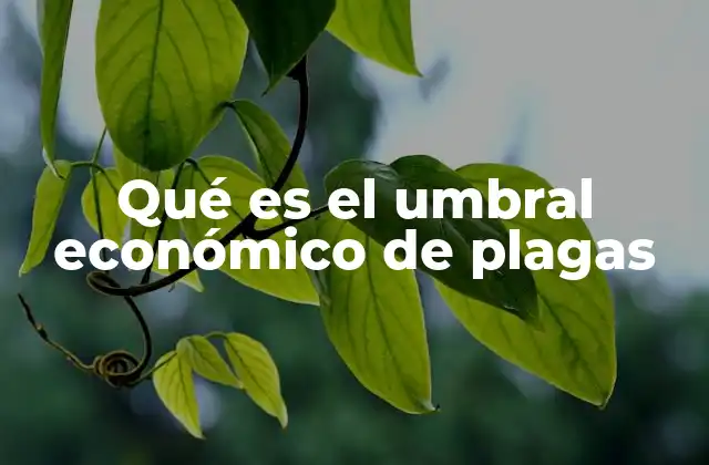 Qué es el Umbral Económico de Plagas 2 La importancia del monitoreo en la detección del umbral económico