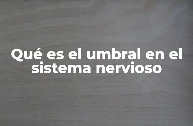 Qué es el Umbral en el Sistema Nervioso 2 El papel del umbral en la transmisión de señales neuronales