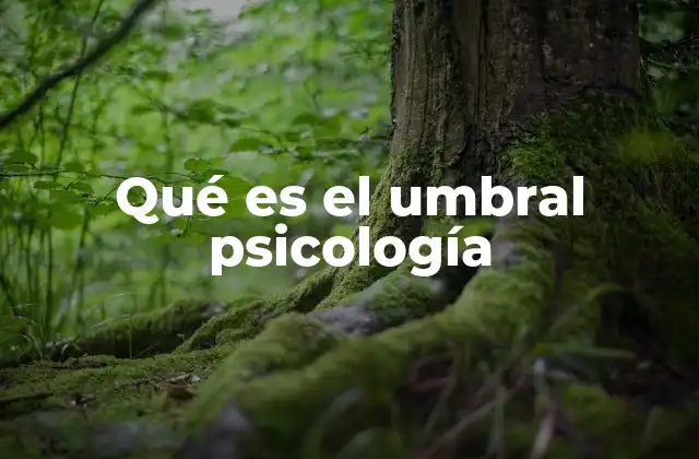 La importancia de los umbrales en la percepción sensorial