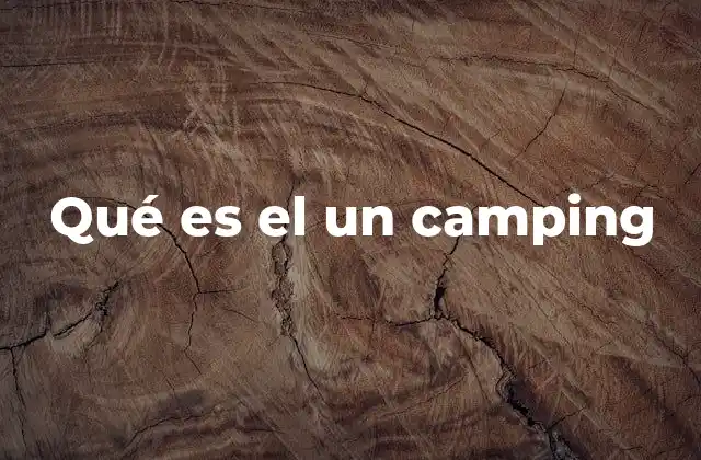 Qué es el un Camping