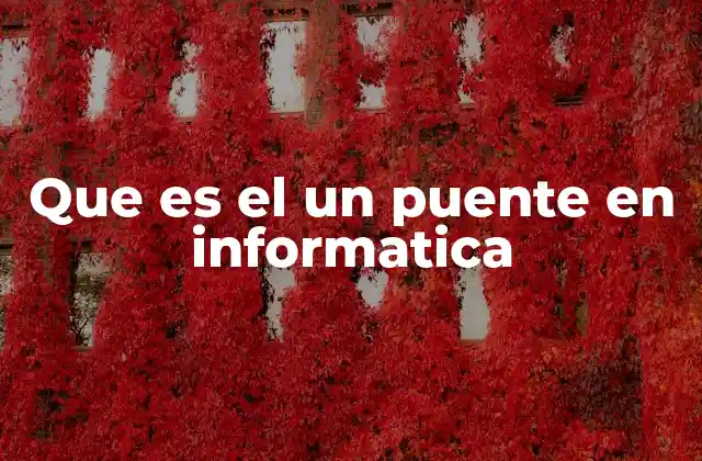 Que es el un Puente en Informatica