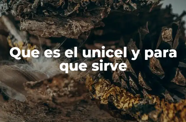 Que es el Unicel y para que Sirve