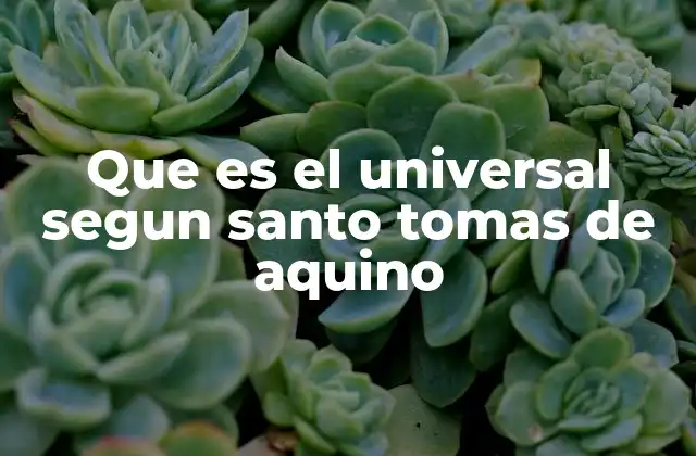 Que es el Universal Segun Santo Tomas de Aquino