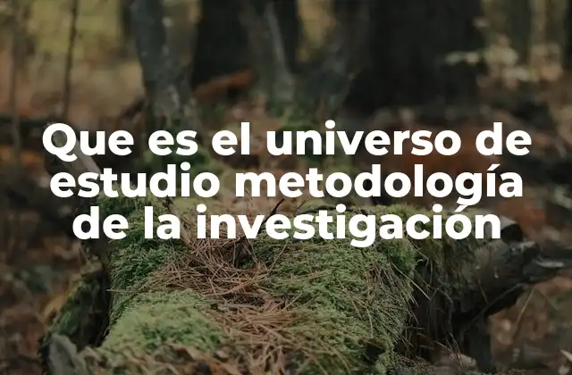 Cómo el universo de estudio define el alcance de una investigación