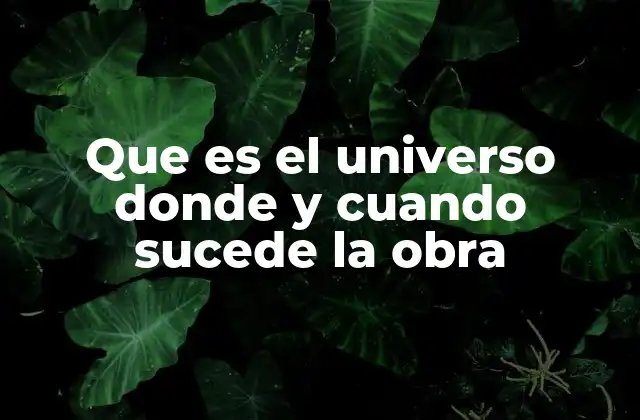 Que es el Universo Donde y Cuando Sucede la Obra
