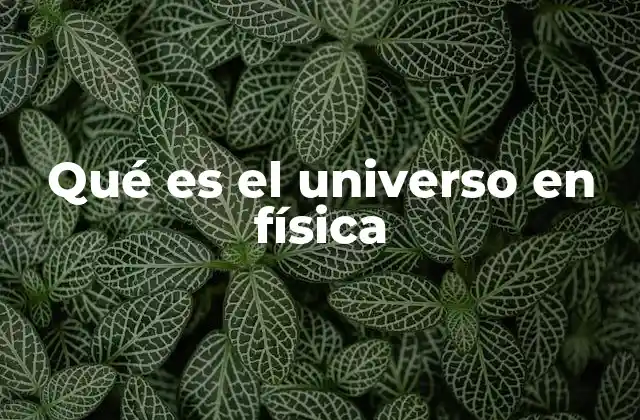 Qué es el Universo en Física