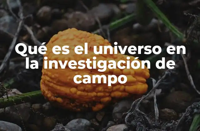 Qué es el Universo en la Investigación de Campo