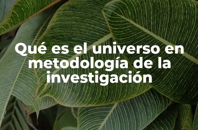 Qué es el Universo en Metodología de la Investigación