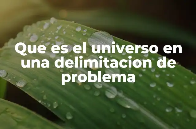 Que es el Universo en una Delimitacion de Problema