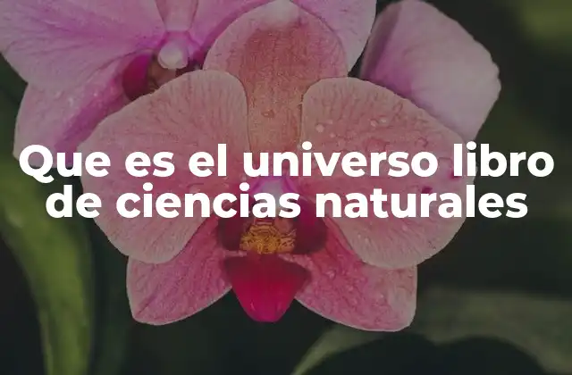 Que es el Universo Libro de Ciencias Naturales