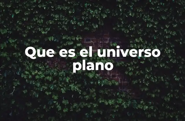 Que es el Universo Plano