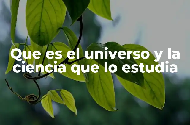 Que es el Universo y la Ciencia que Lo Estudia