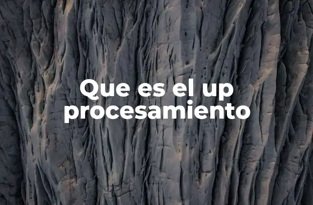 Que es el Up Procesamiento