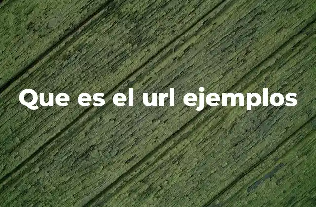 Que es el Url Ejemplos