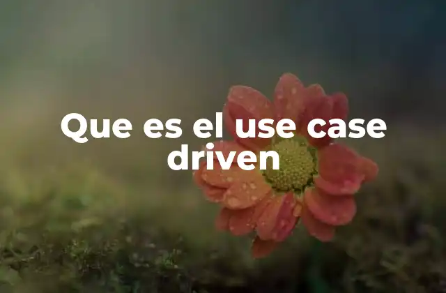 El enfoque centrado en el usuario como motor del desarrollo