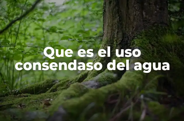 Que es el Uso Consendaso Del Agua