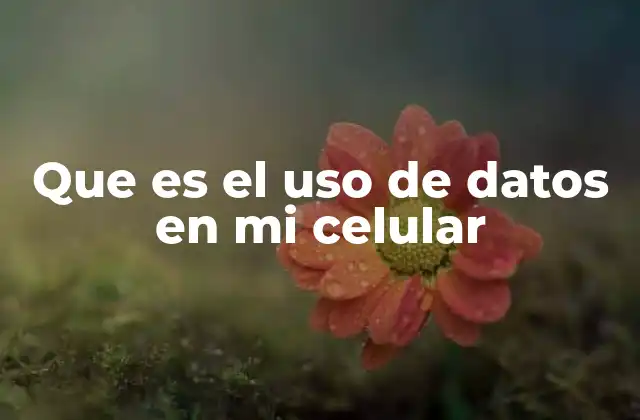 Que es el Uso de Datos en Mi Celular