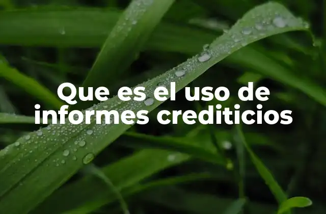 Que es el Uso de Informes Crediticios