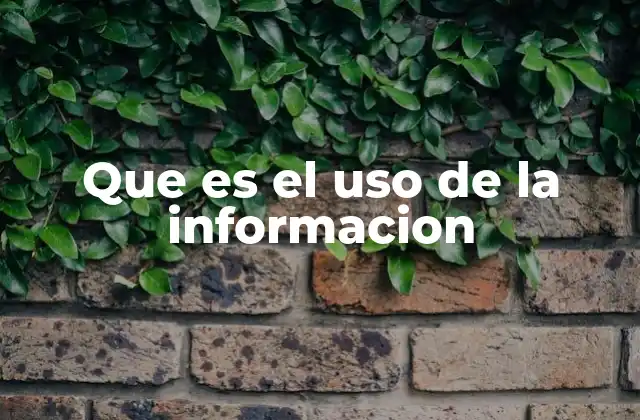 Que es el Uso de la Informacion
