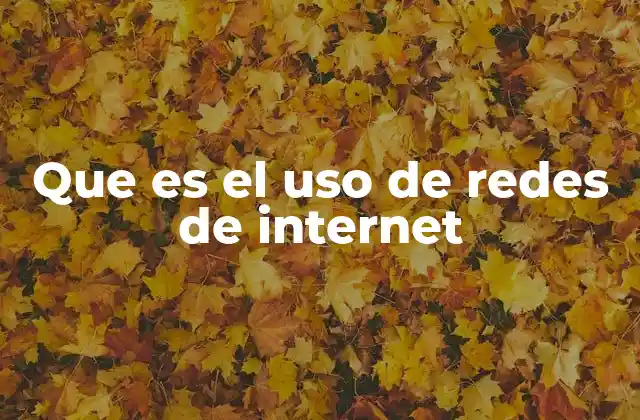 Que es el Uso de Redes de Internet 2 La evolución de la conectividad digital