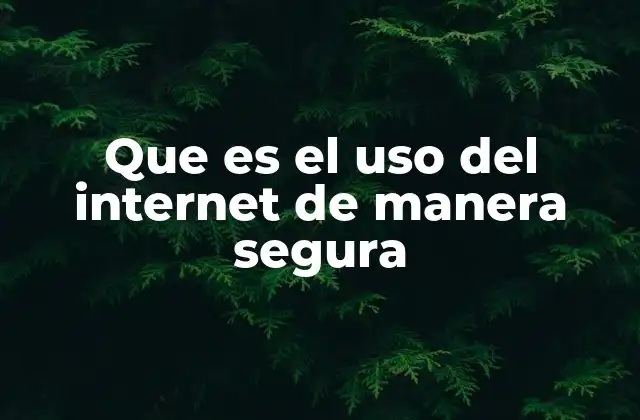 Que es el Uso Del Internet de Manera Segura